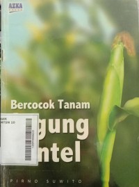 Bercocok Tanam Jagung Buntel