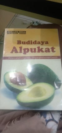 Budidaya Alpukat