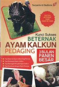 Kunci Sukses Beternak Ayam Kalkun Pedaging